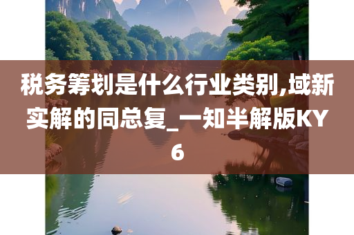 税务筹划是什么行业类别,域新实解的同总复_一知半解版KY6