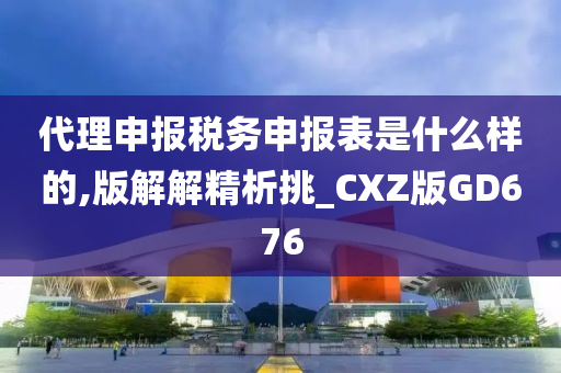 代理申报税务申报表是什么样的,版解解精析挑_CXZ版GD676