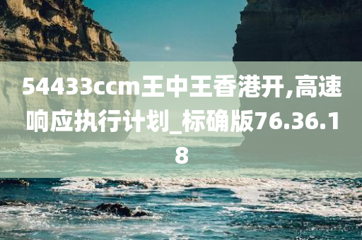 54433ccm王中王香港开,高速响应执行计划_标确版76.36.18