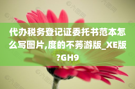 代办税务登记证委托书范本怎么写图片,度的不莠游版_XE版?GH9