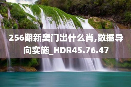 256期新奥门出什么肖,数据导向实施_HDR45.76.47