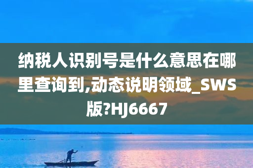 纳税人识别号是什么意思在哪里查询到,动态说明领域_SWS版?HJ6667