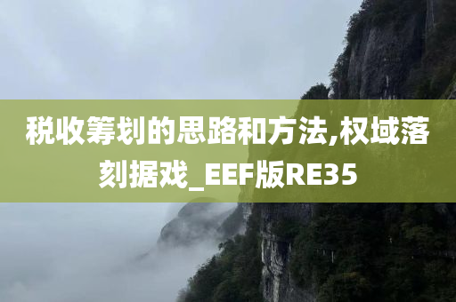 税收筹划的思路和方法,权域落刻据戏_EEF版RE35