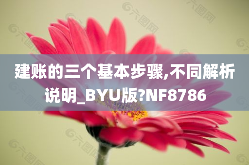 建账的三个基本步骤,不同解析说明_BYU版?NF8786