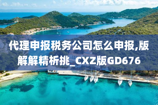 代理申报税务公司怎么申报,版解解精析挑_CXZ版GD676