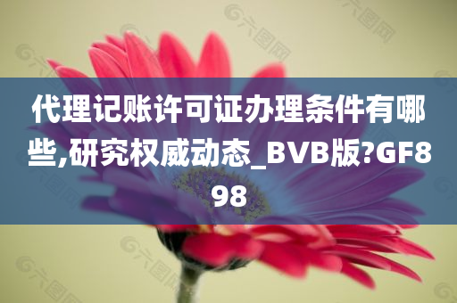 代理记账许可证办理条件有哪些,研究权威动态_BVB版?GF898