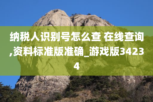 纳税人识别号怎么查 在线查询,资料标准版准确_游戏版34234