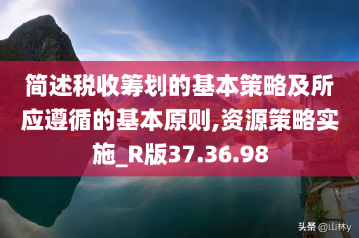 简述税收筹划的基本策略及所应遵循的基本原则,资源策略实施_R版37.36.98