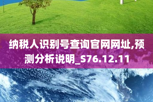 纳税人识别号查询官网网址,预测分析说明_S76.12.11