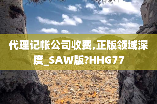 代理记帐公司收费,正版领域深度_SAW版?HHG77