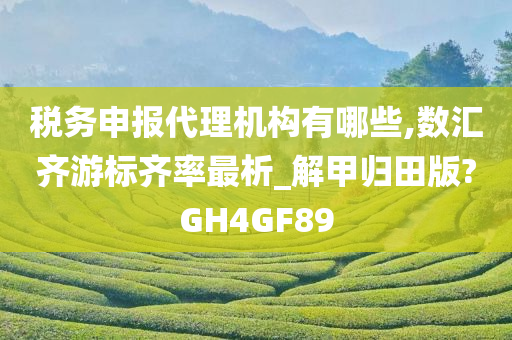 税务申报代理机构有哪些,数汇齐游标齐率最析_解甲归田版?GH4GF89