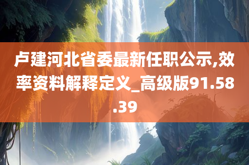 卢建河北省委最新任职公示,效率资料解释定义_高级版91.58.39