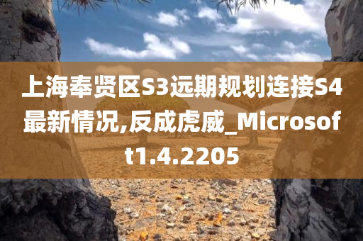 上海奉贤区S3远期规划连接S4最新情况,反成虎威_Microsoft1.4.2205