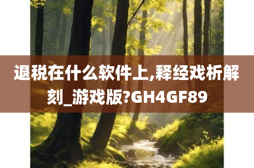 退税在什么软件上,释经戏析解刻_游戏版?GH4GF89