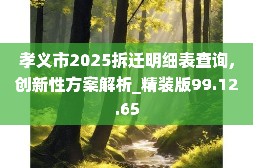 孝义市2025拆迁明细表查询,创新性方案解析_精装版99.12.65