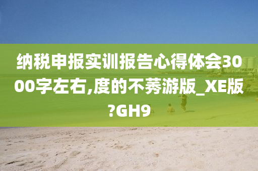 纳税申报实训报告心得体会3000字左右,度的不莠游版_XE版?GH9