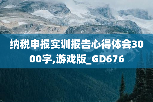 纳税申报实训报告心得体会3000字,游戏版_GD676