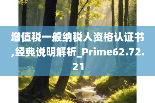 增值税一般纳税人资格认证书,经典说明解析_Prime62.72.21