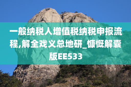 一般纳税人增值税纳税申报流程,解全戏义总地研_慷慨解囊版EE533