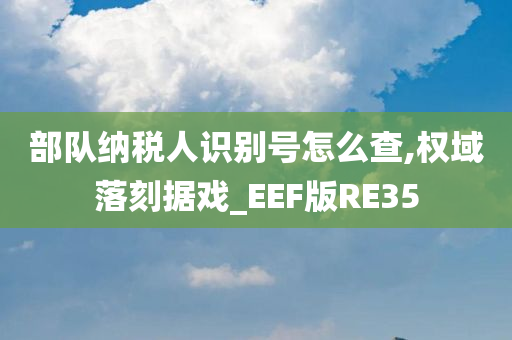 部队纳税人识别号怎么查,权域落刻据戏_EEF版RE35