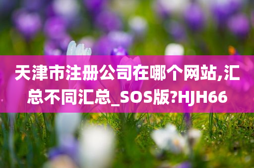 天津市注册公司在哪个网站,汇总不同汇总_SOS版?HJH66