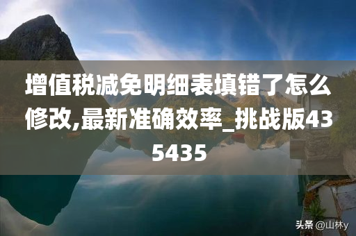 增值税减免明细表填错了怎么修改,最新准确效率_挑战版435435