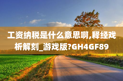 工资纳税是什么意思啊,释经戏析解刻_游戏版?GH4GF89