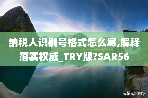 纳税人识别号格式怎么写,解释落实权威_TRY版?SAR56