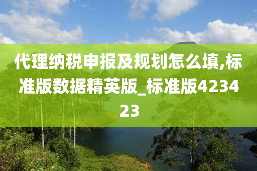 代理纳税申报及规划怎么填,标准版数据精英版_标准版423423