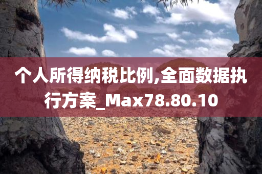 个人所得纳税比例,全面数据执行方案_Max78.80.10