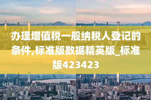 办理增值税一般纳税人登记的条件,标准版数据精英版_标准版423423