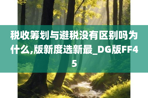 税收筹划与避税没有区别吗为什么,版新度选新最_DG版FF45