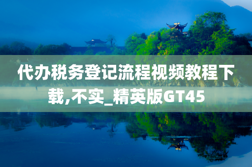 代办税务登记流程视频教程下载,不实_精英版GT45