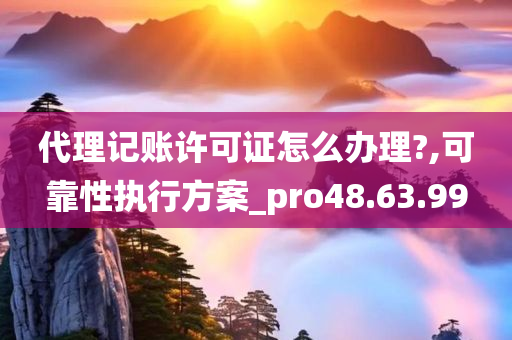 代理记账许可证怎么办理?,可靠性执行方案_pro48.63.99