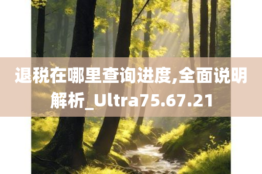 退税在哪里查询进度,全面说明解析_Ultra75.67.21