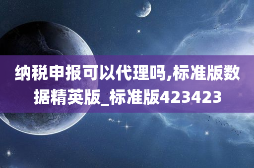 纳税申报可以代理吗,标准版数据精英版_标准版423423