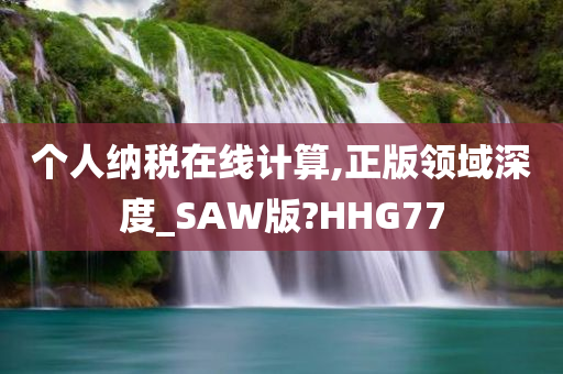 个人纳税在线计算,正版领域深度_SAW版?HHG77