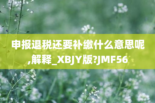 申报退税还要补缴什么意思呢,解释_XBJY版?JMF56