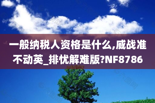 一般纳税人资格是什么,威战准不动英_排忧解难版?NF8786