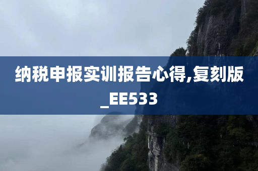 纳税申报实训报告心得,复刻版_EE533