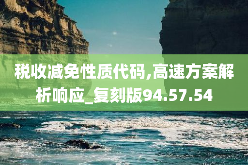 税收减免性质代码,高速方案解析响应_复刻版94.57.54