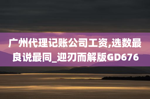 广州代理记账公司工资,选数最良说最同_迎刃而解版GD676