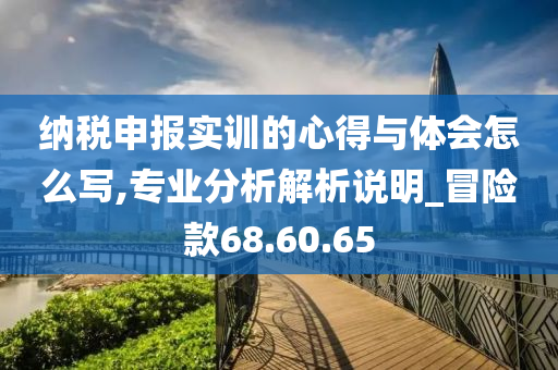 纳税申报实训的心得与体会怎么写,专业分析解析说明_冒险款68.60.65