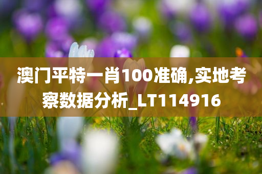 澳门平特一肖100准确,实地考察数据分析_LT114916