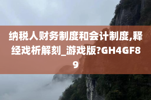 纳税人财务制度和会计制度,释经戏析解刻_游戏版?GH4GF89