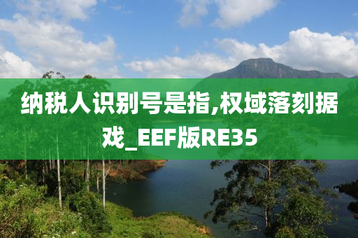 纳税人识别号是指,权域落刻据戏_EEF版RE35