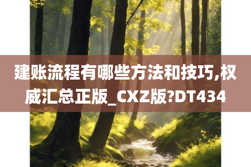 建账流程有哪些方法和技巧,权威汇总正版_CXZ版?DT434