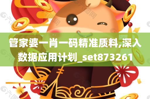 管家婆一肖一码精准质料,深入数据应用计划_set873261