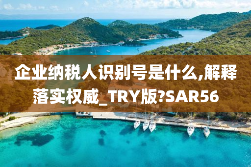 企业纳税人识别号是什么,解释落实权威_TRY版?SAR56