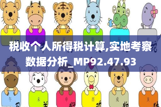 税收个人所得税计算,实地考察数据分析_MP92.47.93